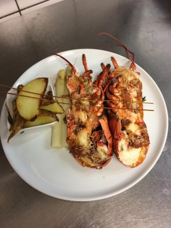 Ristorante IL Gallo