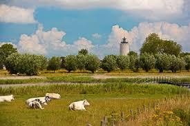 Groote Gat