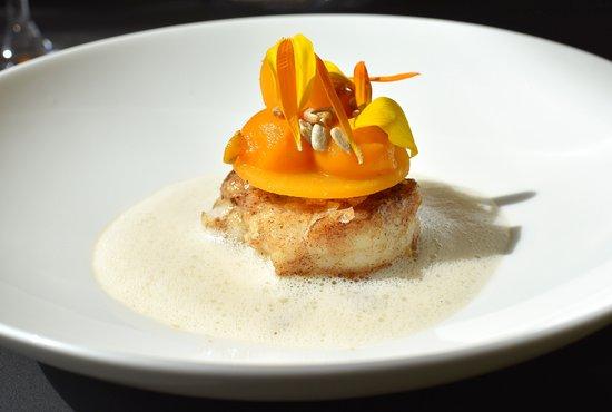 Restaurant Codium