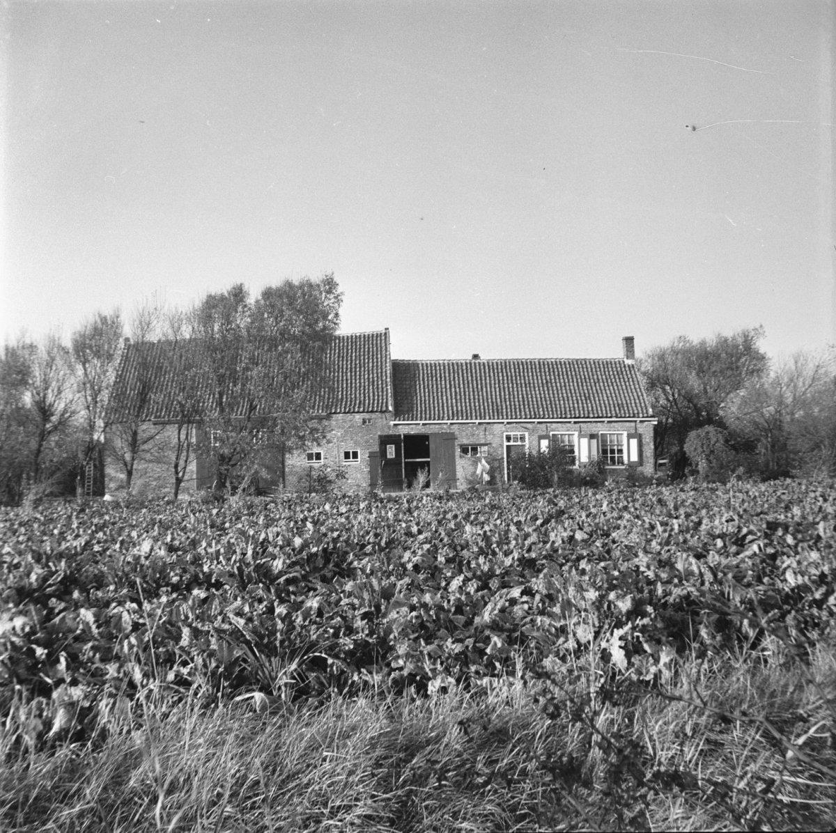 Werendijke