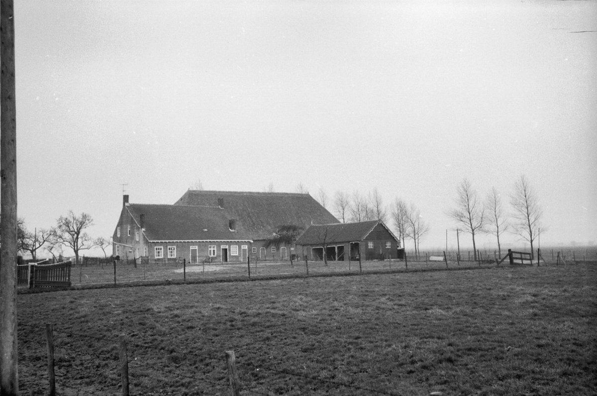 Staalhoeve