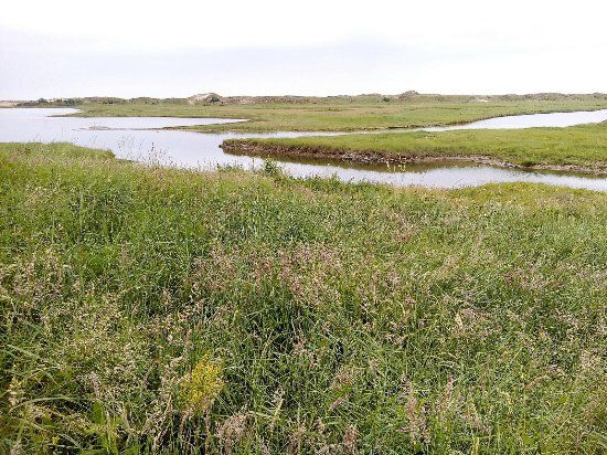 Zwin Natuur Park